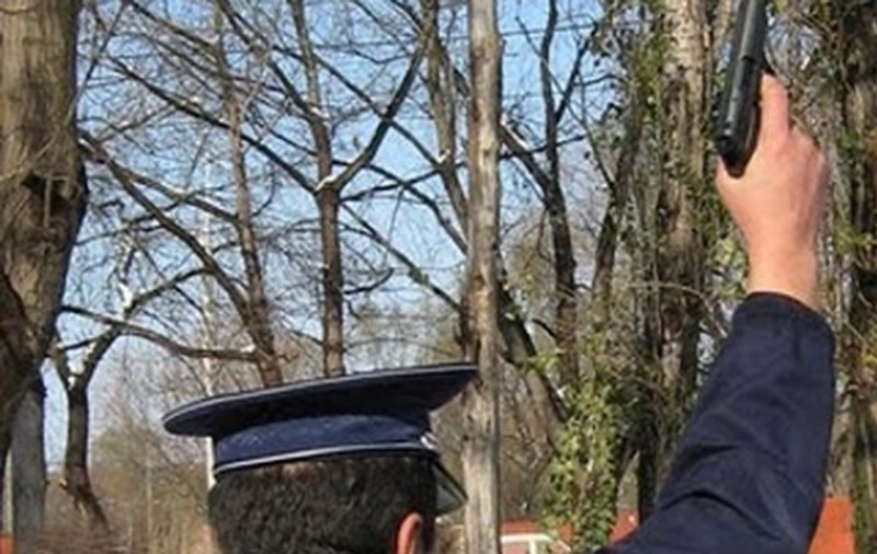 Polițiștii din Dâmbovița au făcut de două ori azi uz de armele din dotare! Au tras după doi hoți și după un șofer care n-a oprit la semnalul lor