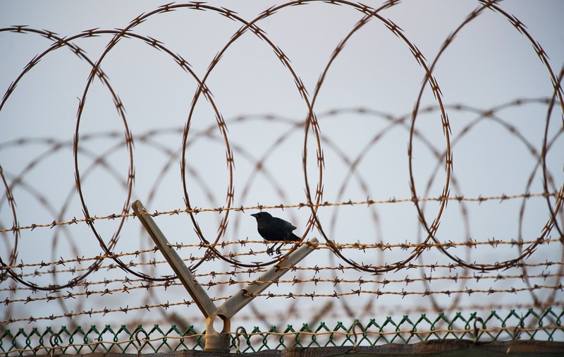 Statele Unite negociază un schimb de deținuți cu talibanii: trei americani din Afganistan pentru un presupus asociat al lui Osama bin Laden închis la Guantanamo