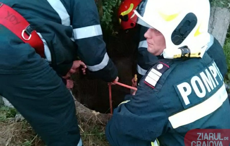 Un bărbat din Dolj și-a aruncat mama în fântână după un scandal. Gestul surprinzător pe care l-a făcut apoi