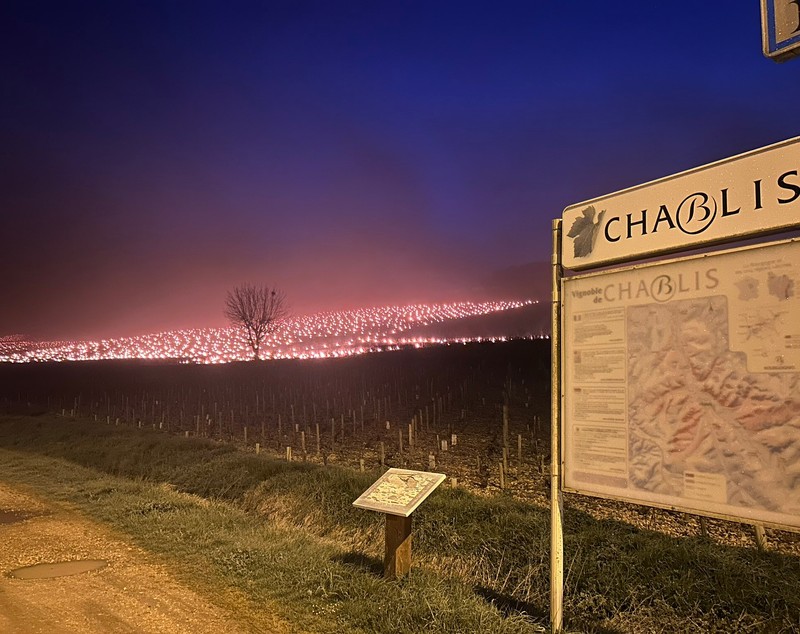 Viticultorii francezi au aprins sute de lumânări în vița-de-vie: „Ne ținem respirația”