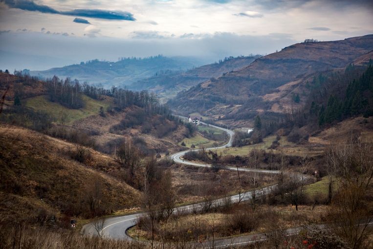 Reporterii olandezi au văzut cu ochii lor camioanele cu lemn printre versanţii despăduriţi
