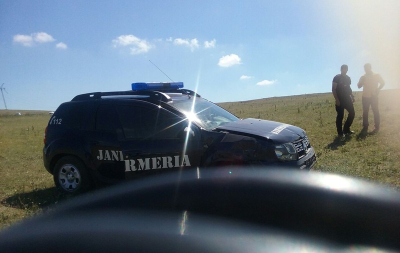 Jandarmii vor putea folosi arme cu tranchilizante, pentru imobilizarea animalelor periculoase; Deputații au votat proiectul