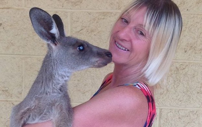 Familie din Australia, atacată de un cangur. O femeie are un plămân perforat