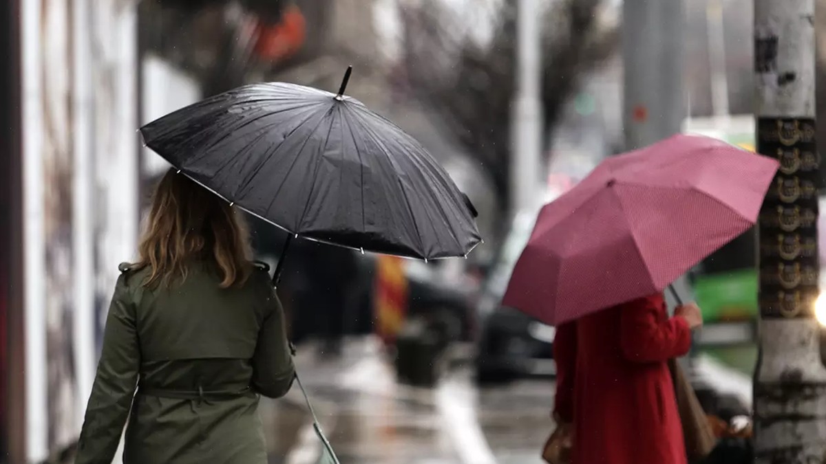 două femei, văzute de la spate, merg pe stradă ținând umbrele deasupra capului. una dintre ele poartă o jachetă neagră și are o umbrelă neagră, iar cealaltă are jachetă roșie și o umbrelă roz