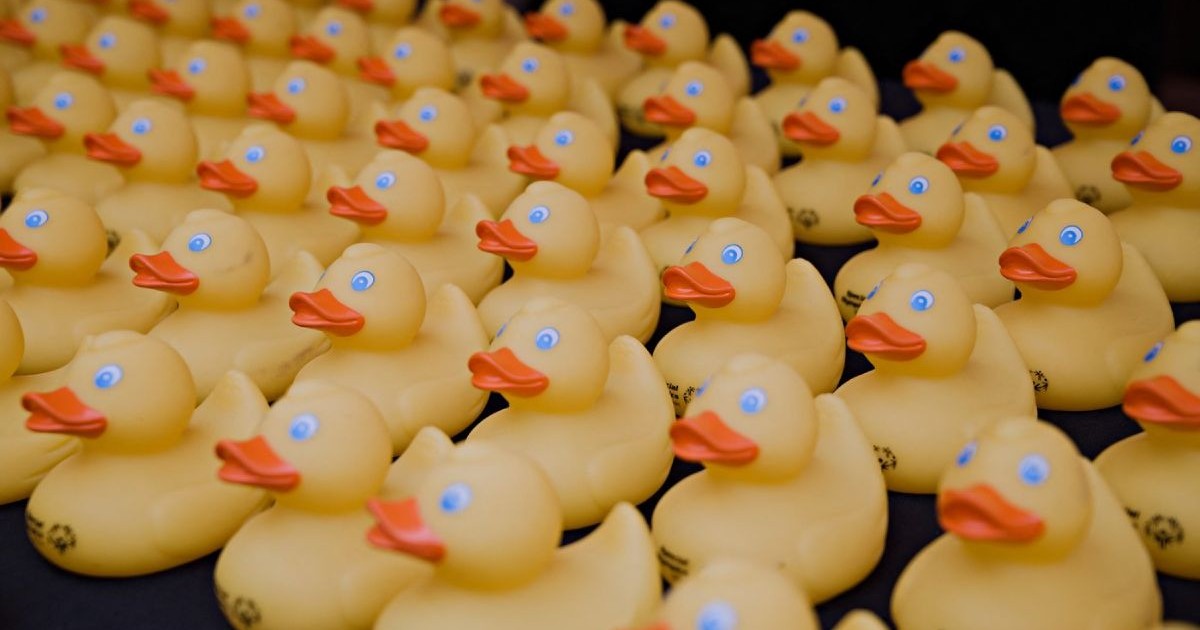 Mii de rățuște de cauciuc aleargă pe râul Chicago în timpul celei de-a 20-a ediții anuale a evenimentului Chicago Ducky Derby, strângând fonduri pentru Special Olympics Illinois, desfășurat în Chicago, Illinois, pe 7 august 2025