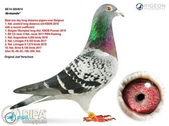 Arhiva foto