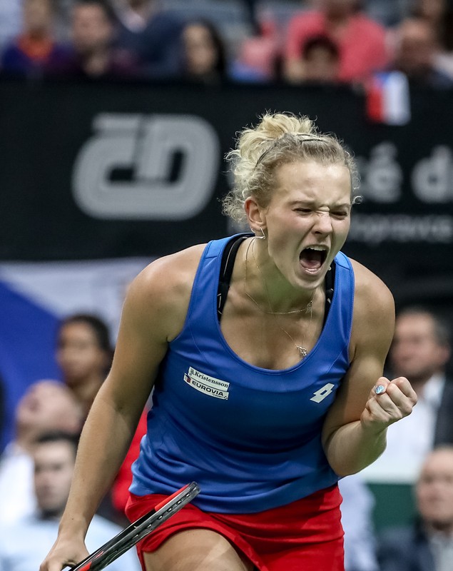 Finala Fed Cup. Cehia - SUA, la Praga. Viitoarea adversară a României a cucerit trofeul