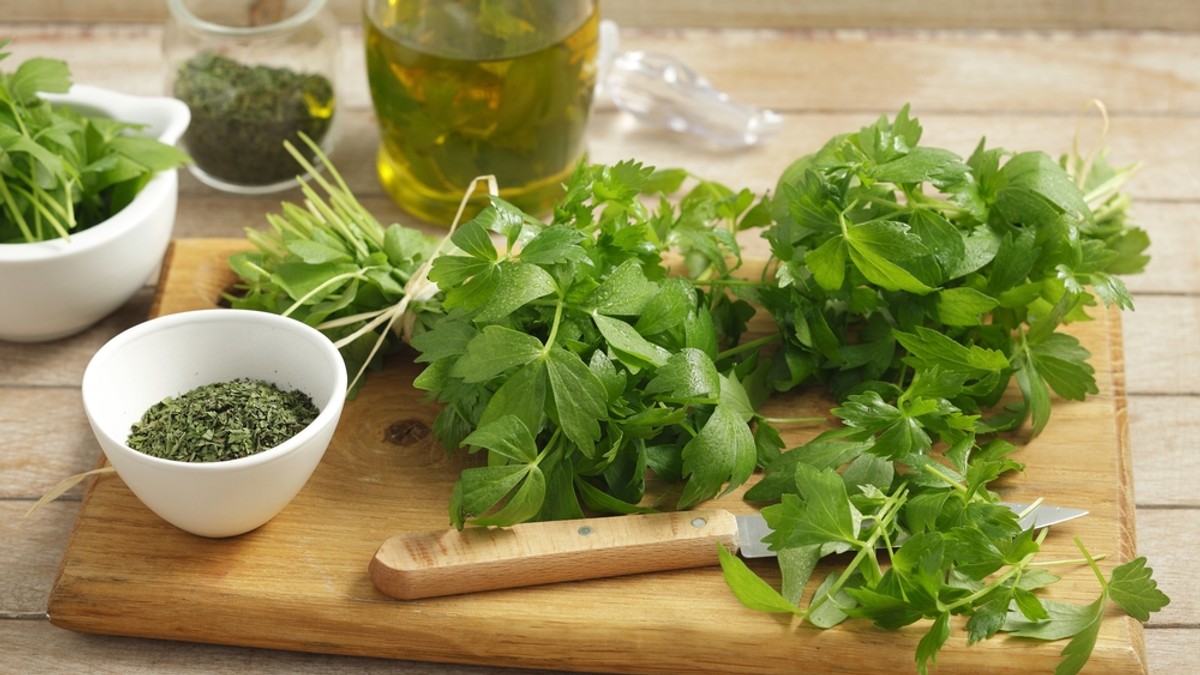Leuștean - de ce este recomandat să introduci în dieta alimentară consumul de leuștean