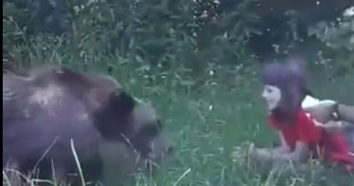 O fetiță i-a dat unui urs să mănânce, din mână, pe Transfăgărășan. Filmare șocantă