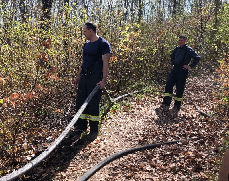 Incendiu de pădure la Răcădău, în Braşov. Au ars 500 de metri pătrați de lizieră/ FOTO