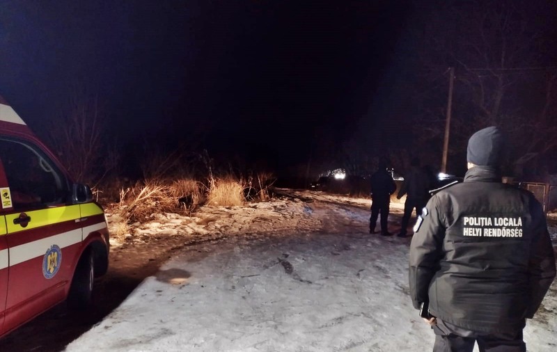 O ursoaică și unul dintre puii ei au fost împușcați pe o stradă din Odorheiu Secuiesc, după ce au devenit agresivi