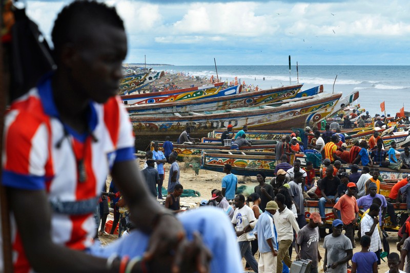 Piață de pește din Dakar, Senegal, vestul Africii, în decembrie 2022 | Foto: Profimedia