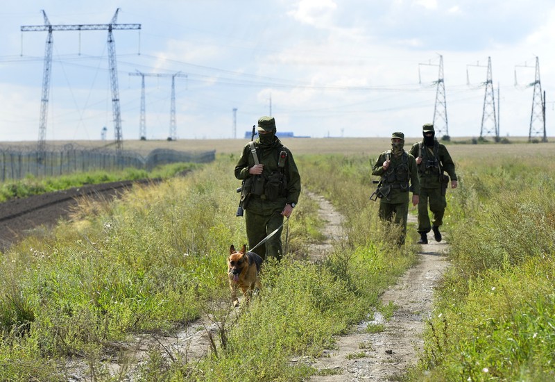 8503417 24.08.2023 Servicemen of the Border Guard Service of the Russian Federal Security Service with a dog patrol an area at Russia-Kazakhstan border, in Chelyabinsk region, Russia.,Image: 800082319, License: Rights-managed, Restrictions: Editors' note: THIS IMAGE IS PROVIDED BY RUSSIAN STATE-OWNED AGENCY SPUTNIK., Model Release: no