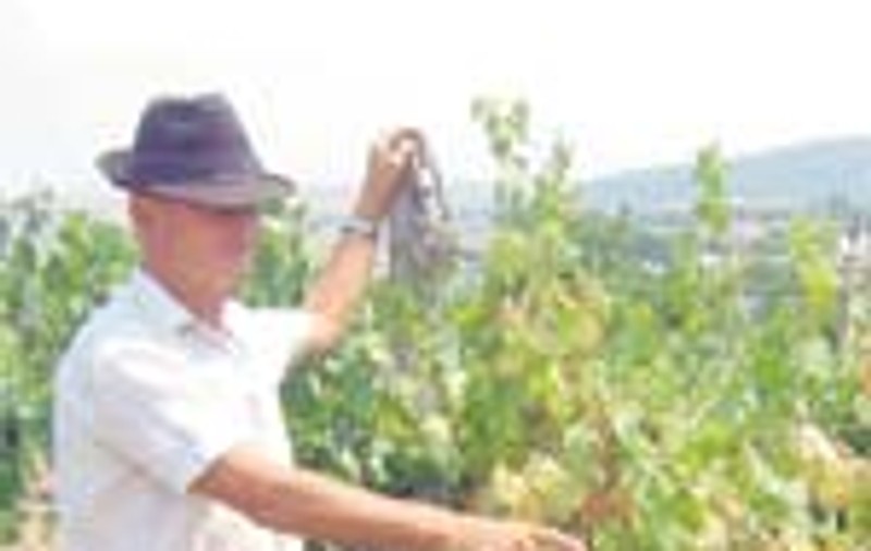 'Se alege prafu' de vie!'