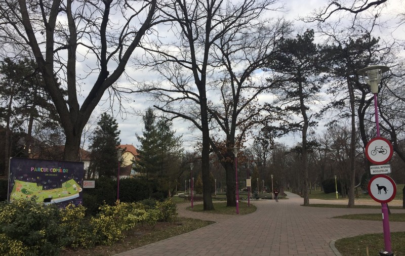 Vor alerga o zi întreagă. Campionat european de 24 de ore de alergare, la Timișoara