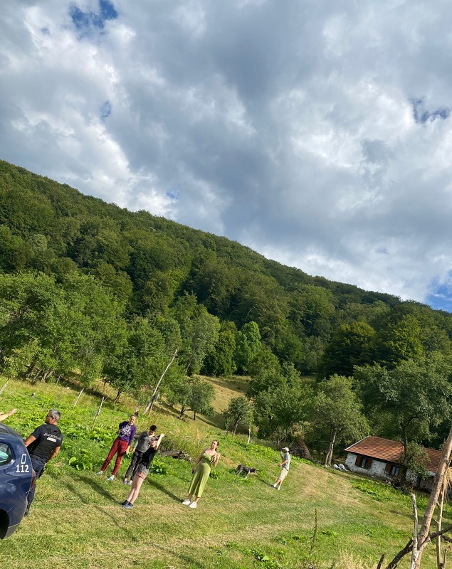 Zimbrii au intrat în gospodăriile oamenilor din comuna Cornereva. Au intervenit jandarmii din Caraș-Severin