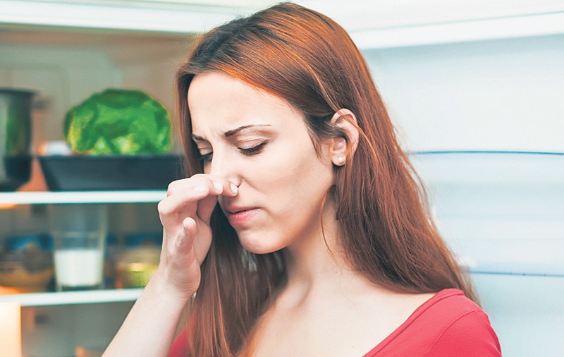 Mâncare stricată? Verifică temperatura din frigider! 8 sfaturi utile ca să nu ai necazuri, vara asta, cu aparatura frigorifică