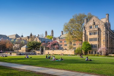Universitatea Yale (SUA)