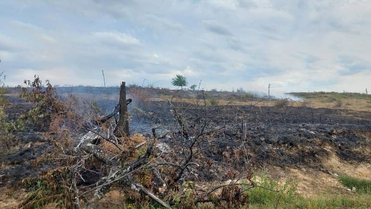 Vegetație mistuită de flăcări, în urma unui incendiu violent, pământul e negru