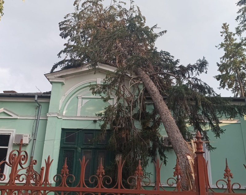 Furtună puternică la Giurgiu. Acoperișuri luate de vânt, mașini avariate și copaci puși la pământ