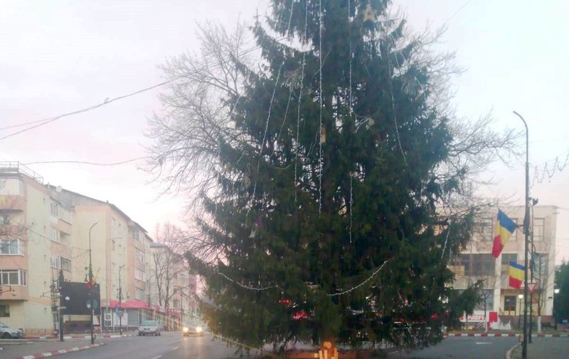Brad de Crăciun pus de primărie în mijlocul intersecției, într-un oraș din județul Vrancea