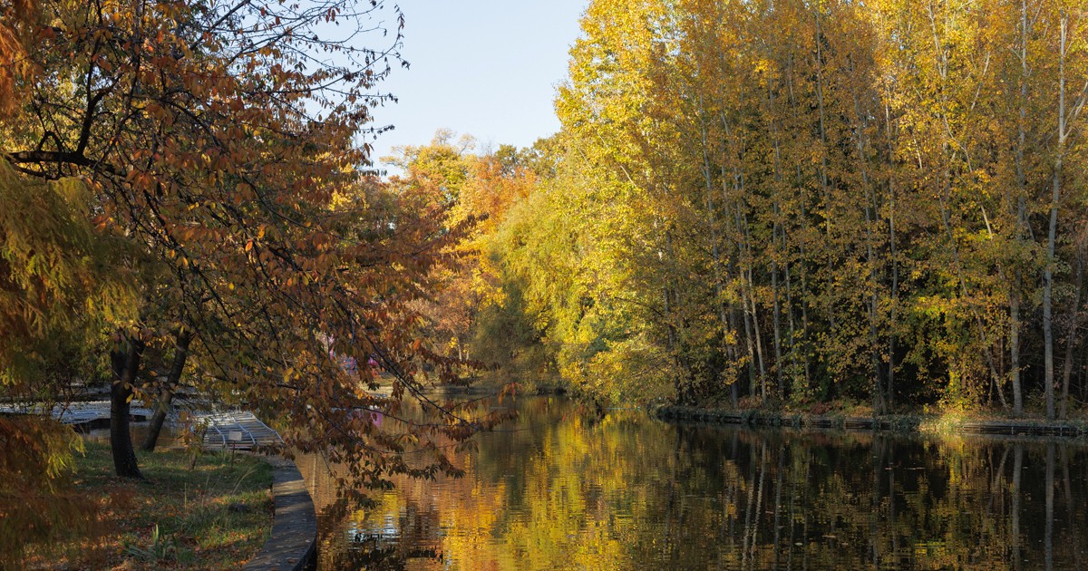 Grădina Botanică din București. FOTO: Vlad Chirea (Libertatea)