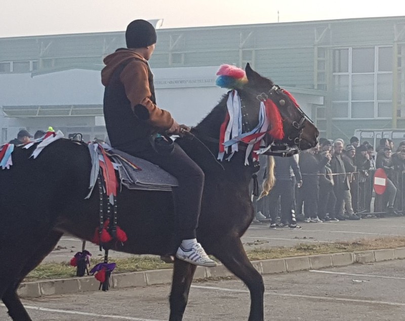 REPORTAJ: De Bobotează, caii din orașul lui Nea Mărin au fost stropiți cu agheasmă ca să nu se prindă blestemele de ei| FOTO