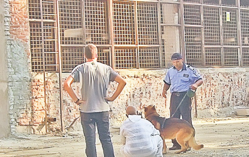 Un bărbat a fost executat în stil mafiot, în sectorul 2 al Capitalei: l-au dezbrăcat şi l-au ars de viu în curtea liceului