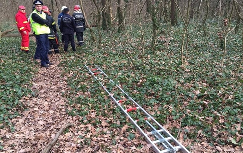 Descoperire macabră într-o pădure din Timișoara
