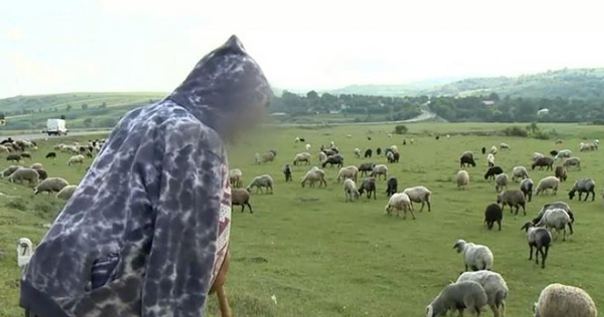 Arhiva foto