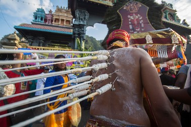 Un pelerin trage cu cârlige agățate de spate un altar pe roți al zeului Murugan. Astfel de forme extreme de penitență sunt practicate de către credincioși care participa la festival anual, timp de mulți ani. În trecut aceste forme extreme de penitență erau mai comune, dar au fost descurajate și chiar interzise de către comunitatea hindusă.