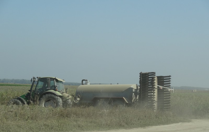 Primarul Galaţiului acuză o fermă de porci tulceană că împute oraşul