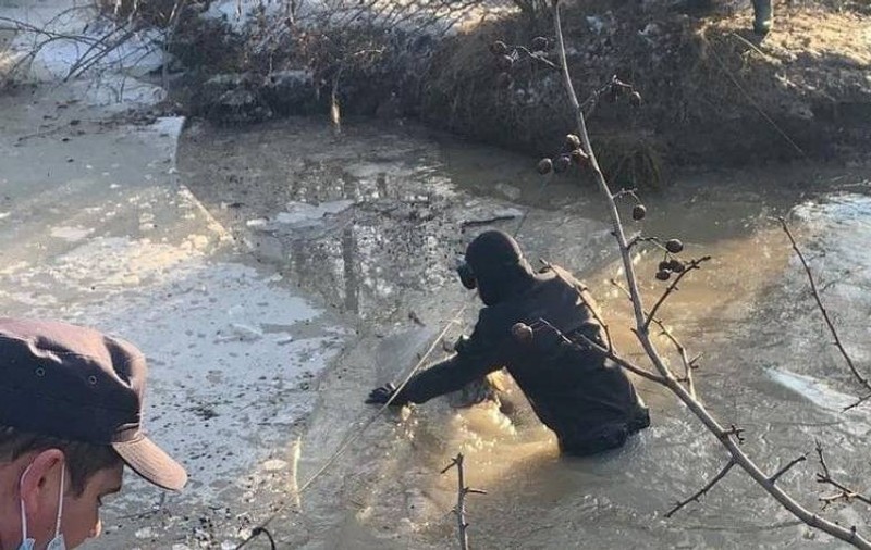Ciobanul din Olt dat dispărut de polițiști, după ce i s-a înecat o turmă de oi într-un pârâu, a fost găsit: plecase să-și caute un loc de muncă