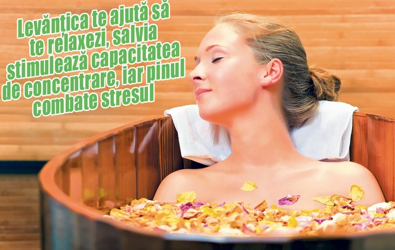 Încarcă-te cu energie din plante