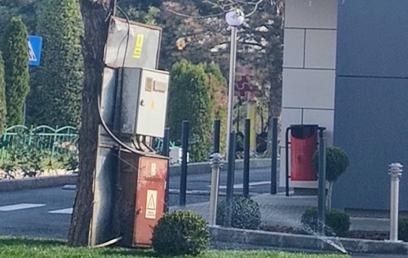 La Galați, un panou electric legat de un copac este udat în fiecare zi. Ce spun autoritățile
