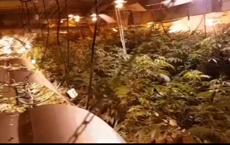 Canabisul consumat și produs în scop recreațional ar putea fi legalizat în Luxemburg. Este prima țară din UE care adoptă o lege pentru asta