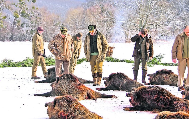 GALERIE FOTO / Feriţi-vă din calea lor, fiindcă fac prăpăd! ^Topul puşcaşilor de elită din sportul românesc