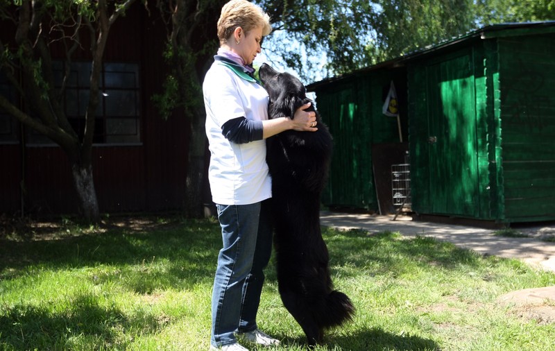Poliția necuvântătoarelor: Dacă îți chinui animalul de companie riști 3 ani de pușcărie
