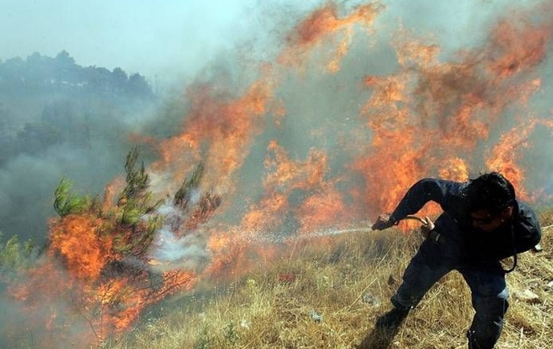 Incendiu de proporții în Parcul Naţional Ceahlău. Pompierii nu pot interveni