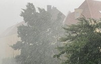 Imaginea surprinde o furtună violentă, cu ploaie torențială și rafale puternice de vânt ce scutură copacii din fața unor clădiri rezidențiale.