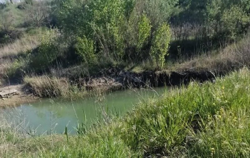 Copilul de 4 ani din Vrancea dat dispărut de mamă a fost găsit mort după o oră, într-o baltă din Suraia