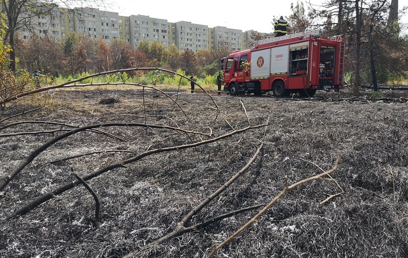 Incendiu de vegetaţie în parcul IOR din Bucureşti. Pompierii intervin cu trei autospeciale