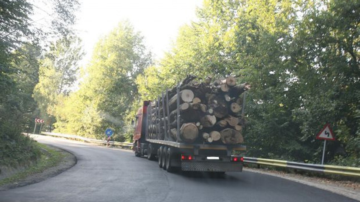 pădurari din Vâlcea, complici cu hoții