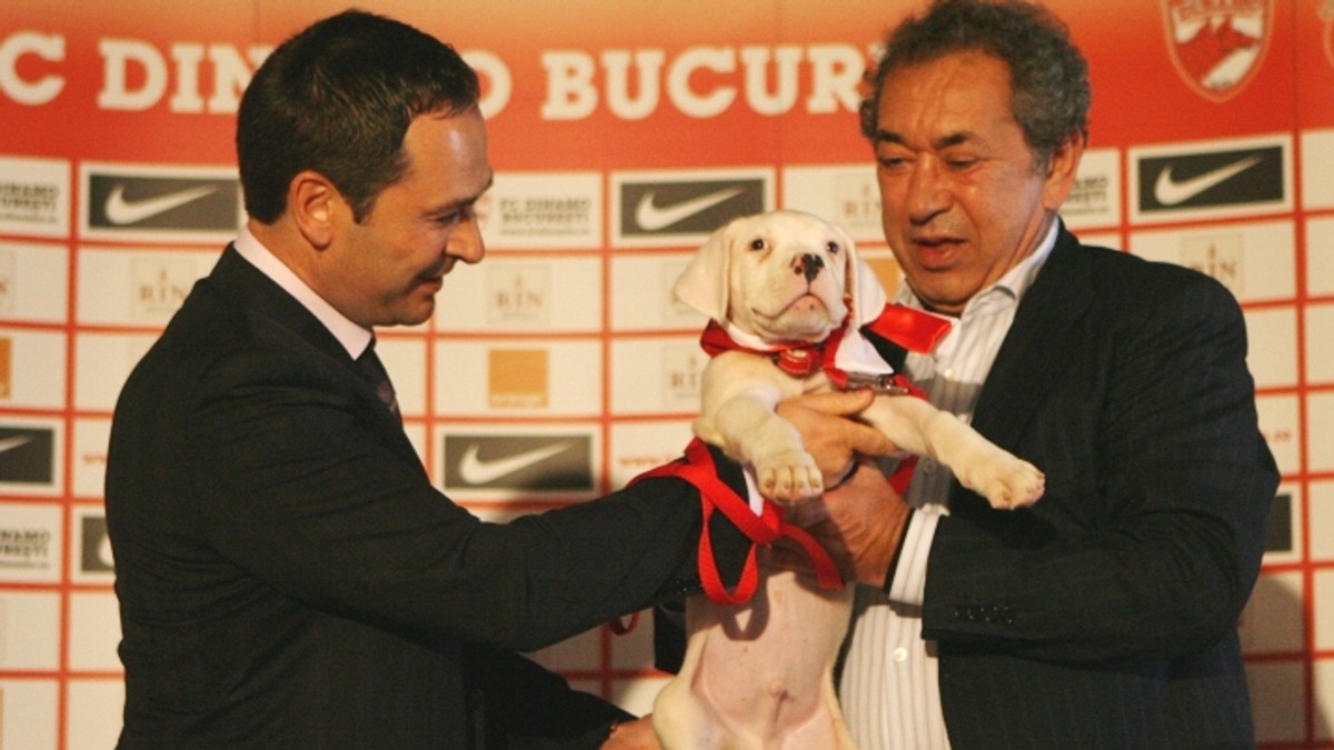 Nicolae Badea s-ar putea întoarce la Dinamo