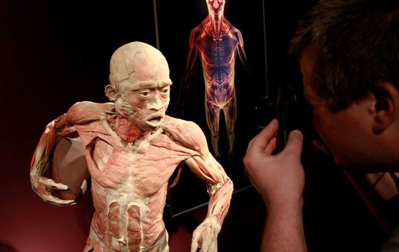 Muzeul Antipa o comite la o expoziţie de CADAVRE: "Copiii cu vârste mai mici de 7 ani beneficiază de acces gratuit"