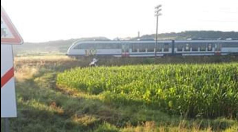 Arhiva foto