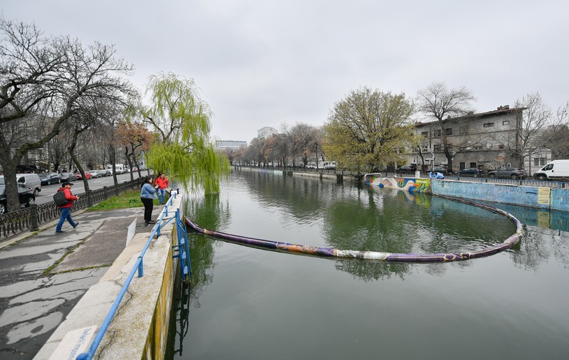 Ce facem cu Dâmbovița? Încercările de salvare a râului din București seacă sub plastic și gunoaie