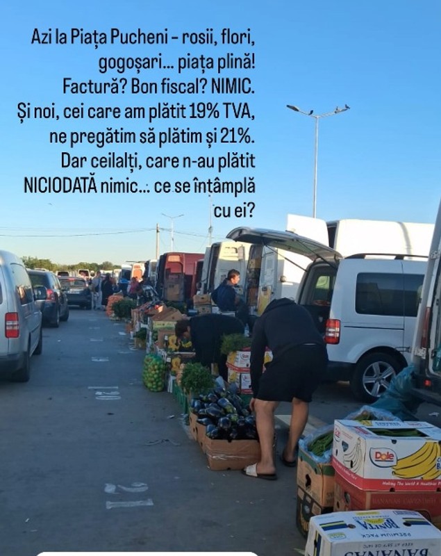 Dana Budeanu, mesaj acid la adresa Dianei Șucu, care s-a plâns că n-a primit bon fiscal în Piața Pucheni: „Acolo sunt banii de taxe, amețito?!”