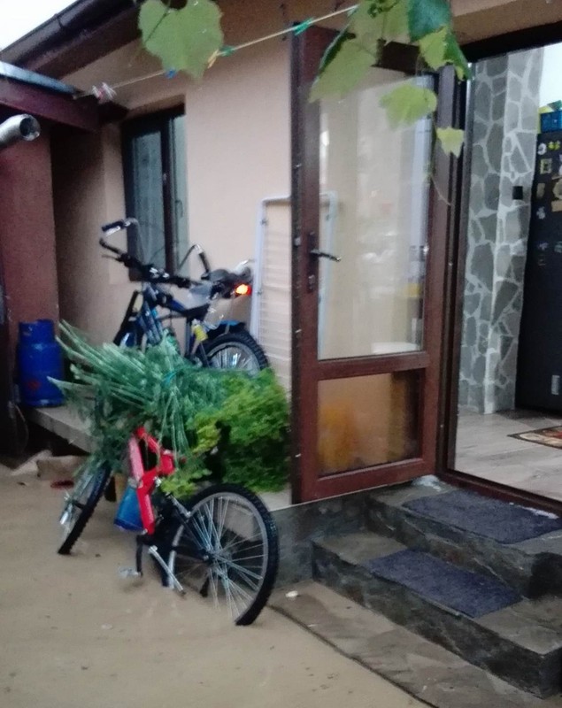 UPDATE: Inundațiile și furtunile au făcut ravagii în șase județe din țară. Zeci de oameni, pe drumuri în urma vijeliei