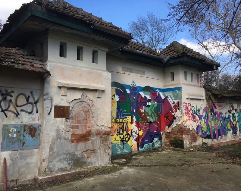 FOTO/ Cel mai important centru de natație al Timișoarei a murit din nepăsare. Ajunsă o ruină, fosta bază sportivă Uszoda este un focar de infecție